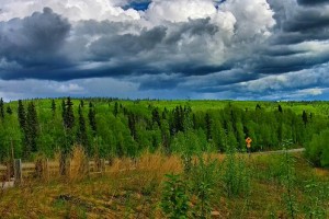 Green Alaska. Photo: kla4067, used under Creative Commons License (By 2.0)