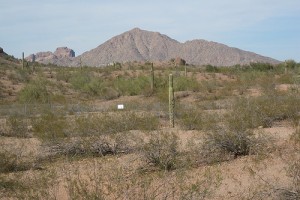 Papago Park, Phoenix, Arizona - Photo: Dougtone used under Creative Commons License (By 2.0)