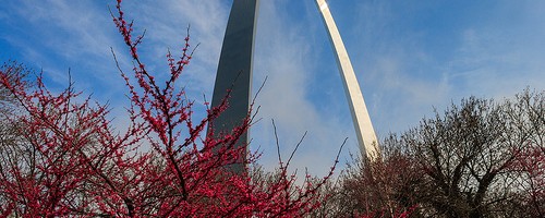 st_louis_3-500x200.jpg