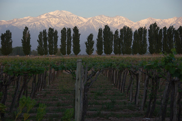 Copa – Starting $685: United States – Mendoza, Argentina. Roundtrip, including all Taxes