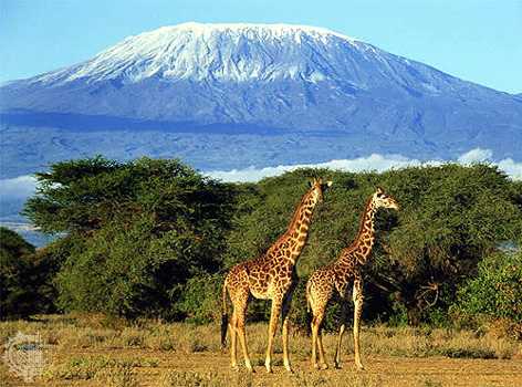 Monday Travel Hack: Mt. Kilimanjaro and Zanzibar, Africa for Christmas & New Years. Save up to $1,500!