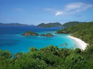 trunk-bay-st-john-usvi
