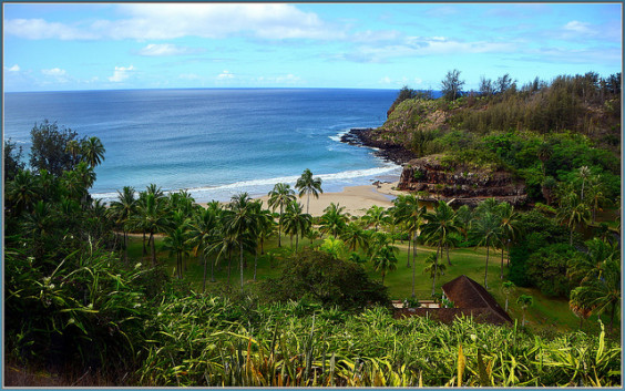 Southwest: Los Angeles – Kauai, Hawaii (and vice versa). $279. Roundtrip, including all Taxes