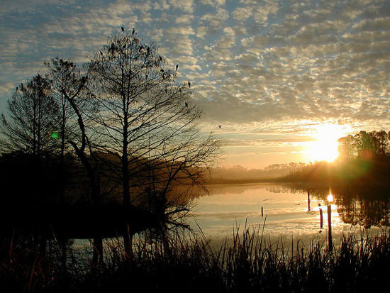 Gainesville, Florida - Photo: Filipe Fortes via Flickr, used under Creative Commons License (By 2.0)