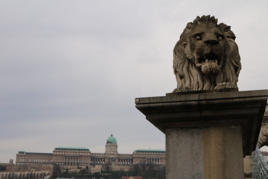 Buda Castle and Chain Bridge Lion, Budapest, Hungary - Photo: (c) 2016 -Jonathan of Two if by Air