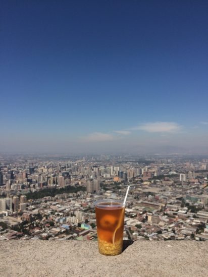 Santiago, Chile - Photo: (c) 2016 - Varud Gupta of Bicoastal Cooks