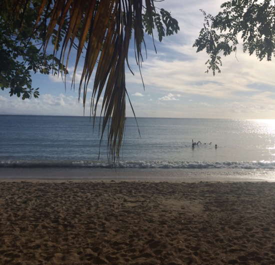 Late afternoon at Grande Anse des Salines, Martinique - Photo: (c) 2016 - Dan Cruse