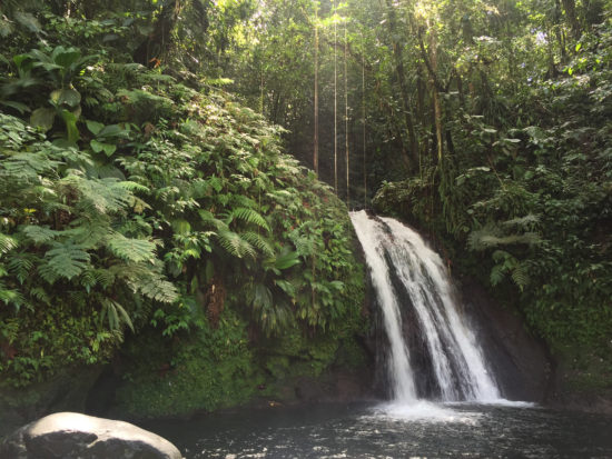 Cascade Aux Ecrevisses, Guadeloupe - Photo: (c) 2016 - Cynthia Drescher