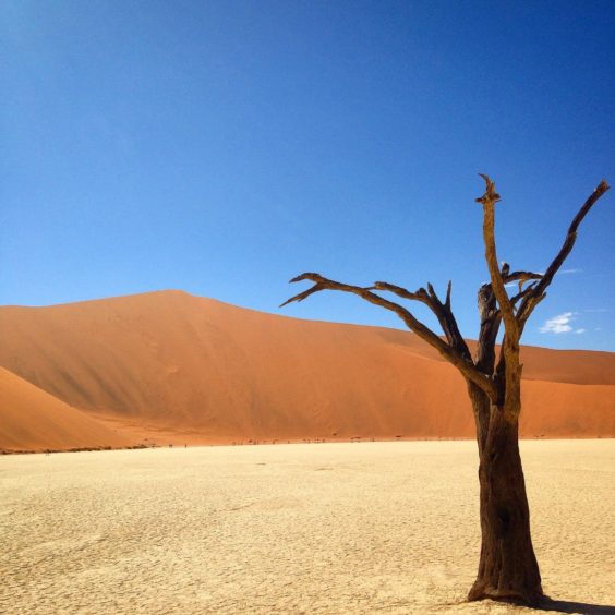 Practical Travel Tips: Namibia.