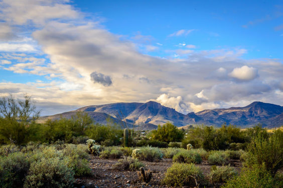 The Shorthaul – Southwest: San Francisco – Phoenix (and vice versa). $98. Roundtrip, including all Taxes