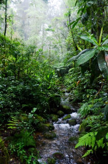 Practical Travel Tips: Monteverde, Costa Rica