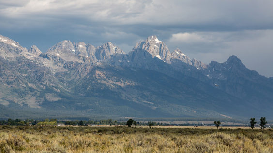 American: Washington D.C. – Jackson Hole, Wyoming (and vice versa). $178. Roundtrip, including all Taxes